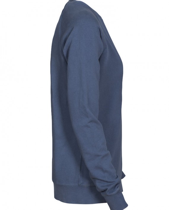 2122038_555_R_CornellLady_Preview